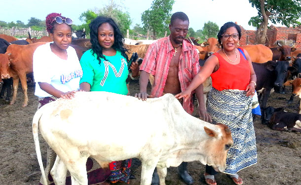 Livestock@Mandevu